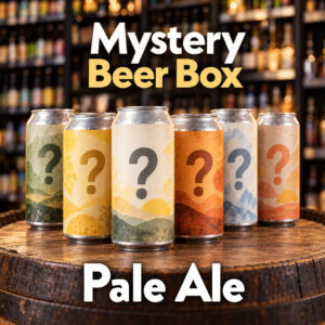 Mystery 6 Can Beer Box (6 x 440ml) - Pale Ale